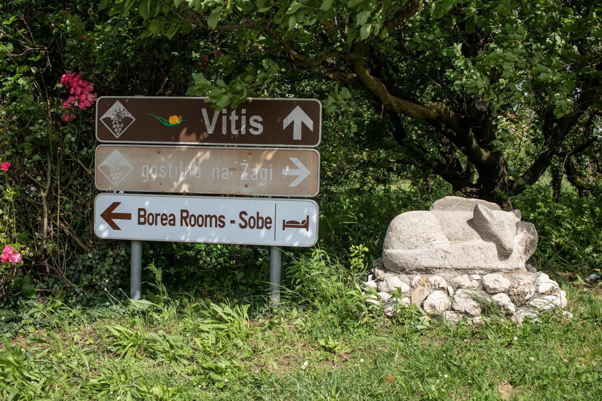 ויפאבה Borea Rooms - Sobe Budanje מראה חיצוני תמונה